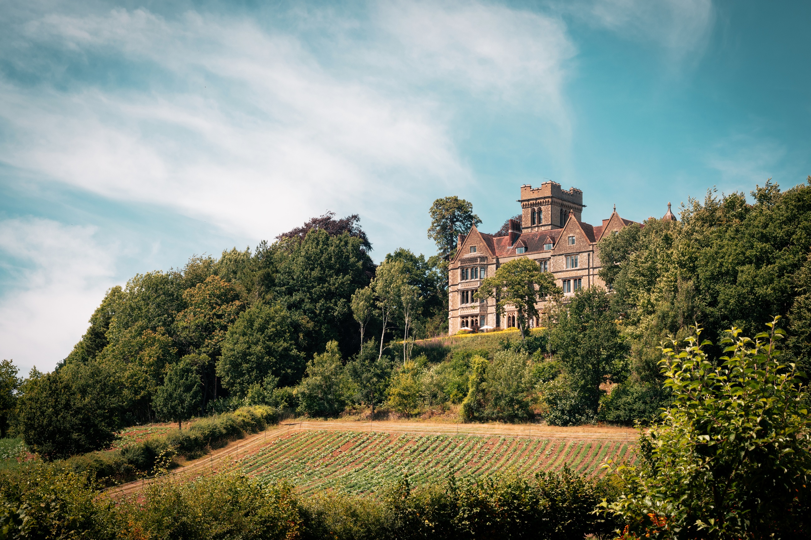 A Hand Picked Country Summer